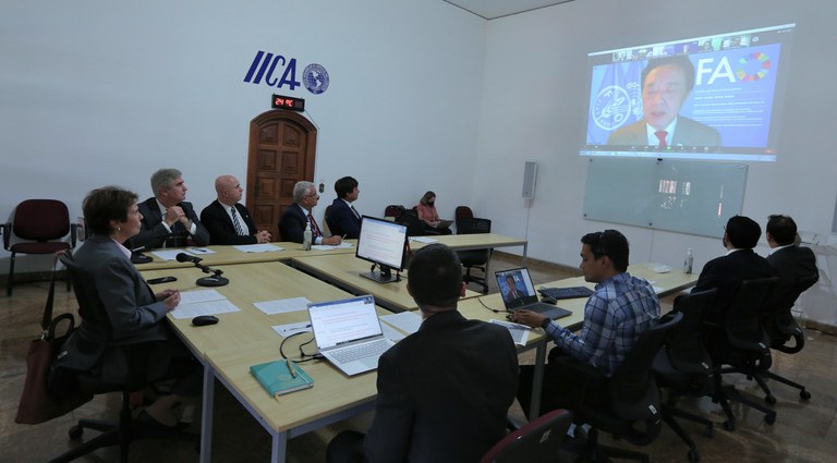 Em reunião com representantes das Nações Unidas, da FAO, do IICA e ministros das Américas, ministra apresentou ações para mitigar os impactos negativos da atual crise de preços dos insumos. - Foto: Divulgação Mapa