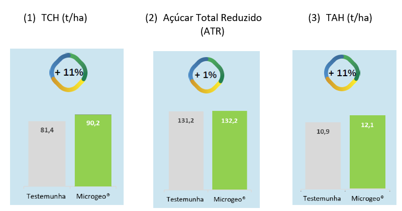 Gráficos. Resultados médio das produtividades em: (1) tonelada de cana por hectare (TCH), (2) açúcar total reduzido (ATR) e (3) açúcar por hectare (TAH), comparando as áreas testemunha (sem aplicação da Biotecnologia Microgeo) e com uso da Biotecnologia Microgeo em propriedades cultivadas com cana-de-açúcar, localizadas no Nordeste brasileiro, durante a safra 2021/22.&nbsp; &nbsp;