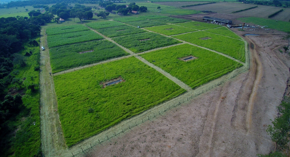 O experimento foi feito em uma área da fazenda experimental da Agência Paulista de Tecnologia dos Agronegócios (APTA), em Brotas, no interior de São Paulo. Os pesquisadores dividiram o local em 15 parcelas (plots) de 50 por 50 metros (foto: Edmar Mazzi)&nbsp;&nbsp;