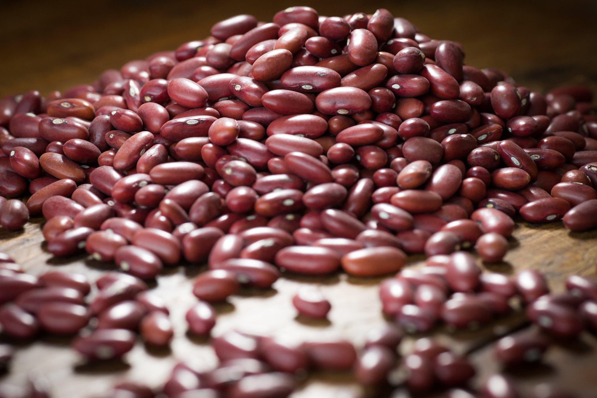 The state is the main producer of second-crop beans, with 98% of Paraná's crops having already been harvested. - Photo: Wenderson Araujo/CNA