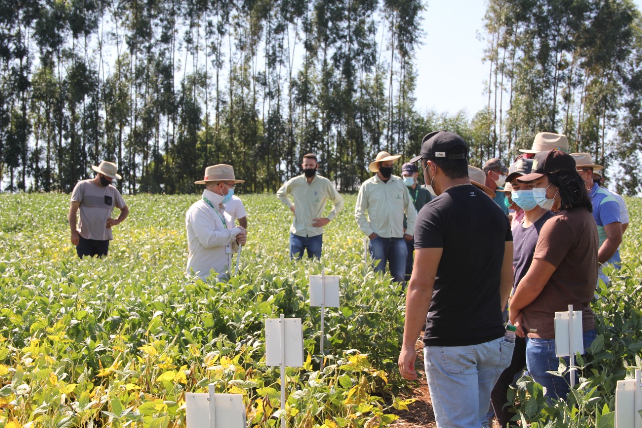 Tec Campo 2022 foi realizado na matriz, em Arapoti (PR), e também em outras cinco filiais da cooperativa. - Foto: Divulgação