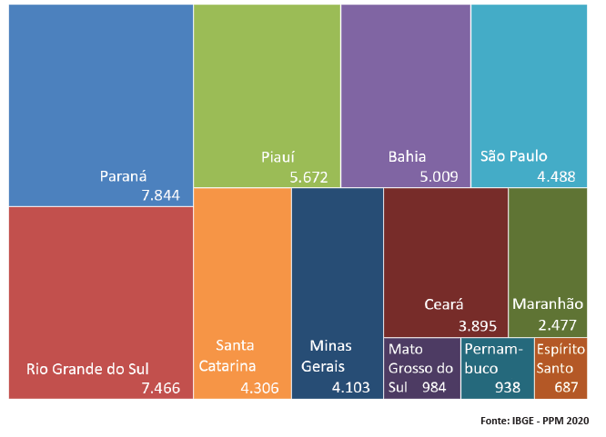 12 Estados que mais produziram mel em 2020 (IBGE)