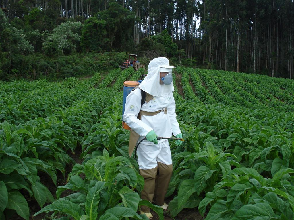 Brasil vem evoluindo bastante em qualidade de máquinas, produtos químicos e biológicos, mas nem sempre esse conhecimento chega ao trabalhador rural, diz pesquisador; treinamento específico na área será lançado na feira Agrishow. - Foto: Divulgação