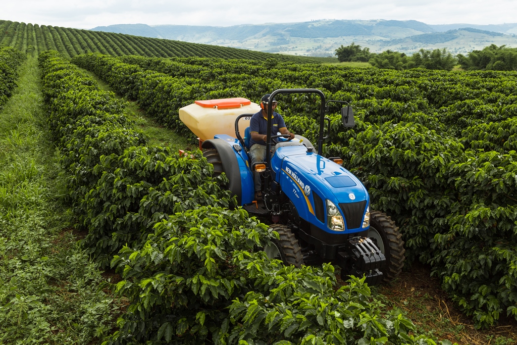 São os nutrientes que interferem diretamente nos processos fisiológicos e metabólicos das plantas, atuando desde a taxa fotossintética até a tolerância contra patógenos