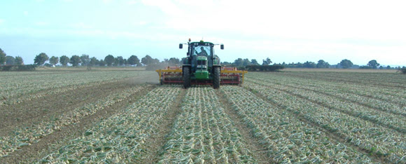 Exemplos em lavouras europeias onde o tráfego controlado é utilizado em culturas como cebola e beterraba