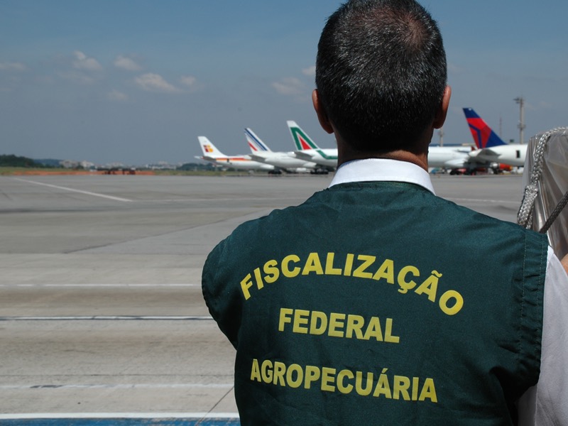 Foto:&nbsp;banco de imagens do Anffa Sindical