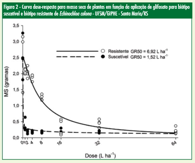 Figura 2