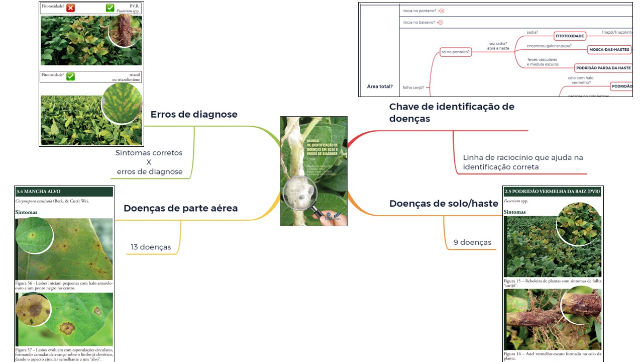 Sintomas e diagnose de fitotoxicidade de herbicidas na cultura da soja. -  Portal Embrapa