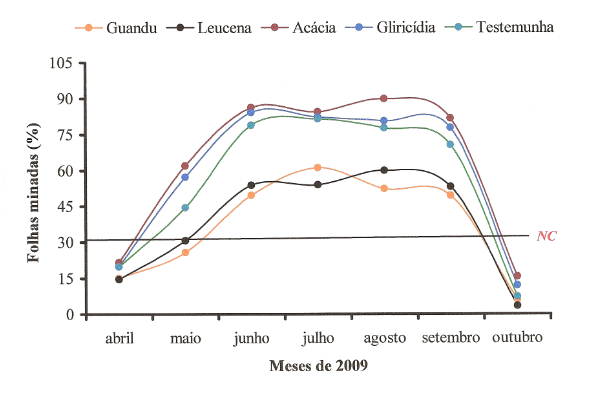 Figura 2 - Evolução da infestação de bicho-mineiro, expressa em porcentagem de folhas minadas nos cafeeiros sob influência das diferentes espécies de leguminosas utilizadas como quebra-ventos em 2010, com porte normal. Obs.: NC = Nível de controle (30 % de folhas minadas).
