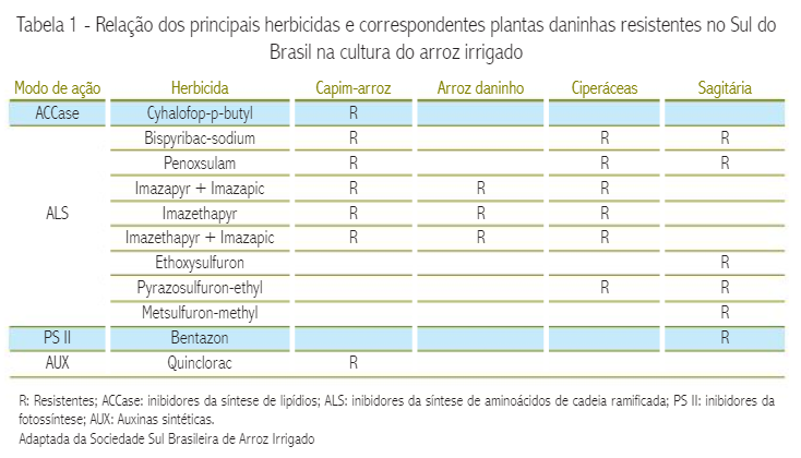 Tabela 1