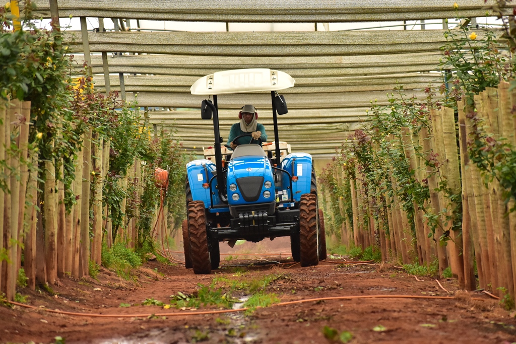 Reduced size, reduced turning radius when maneuvering, traction capacity, auxiliary front-wheel drive were fundamental items in choosing the U60