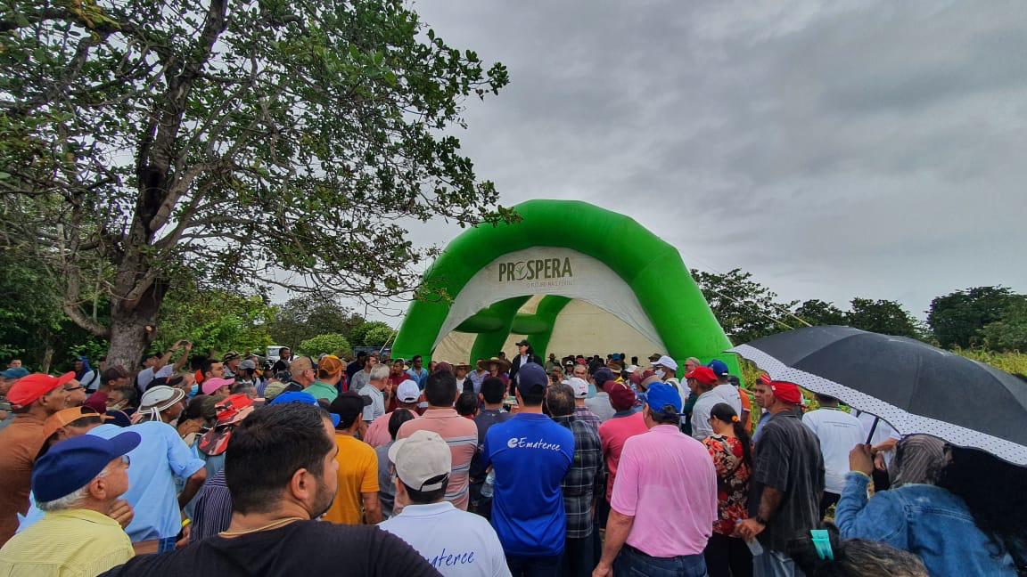 Iniciativa já impactou cerca de 1.200 agricultores no Ceará com treinamentos e orientações sobre o sistema produtivo de alto rendimento de milho