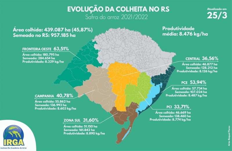 Evolução da colheita do arroz no RS