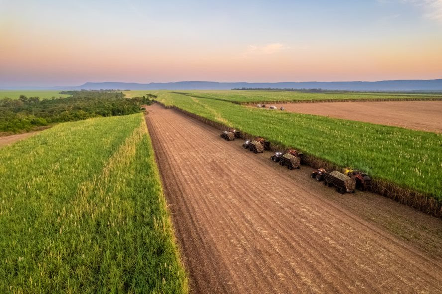 O programa internacional reconhece práticas de agricultura regenerativa