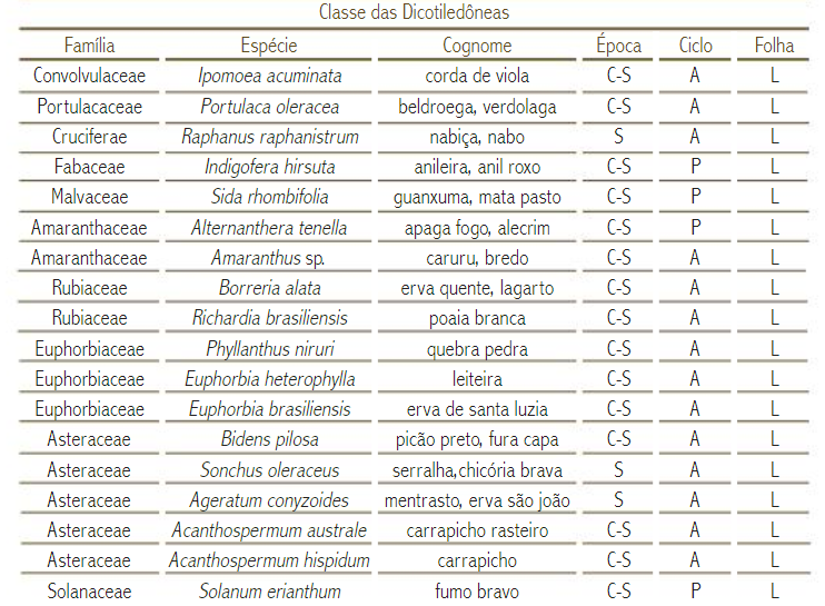 Classe das Dicotiledôneas