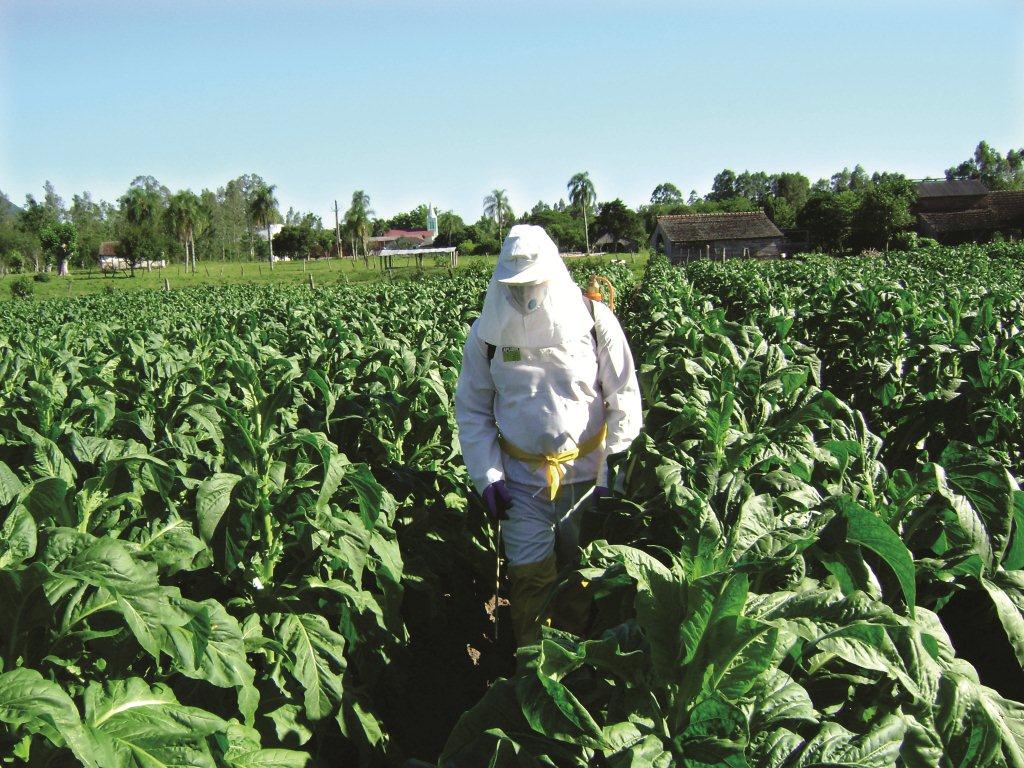 País avança em qualidade de máquinas e insumos, mas nem sempre conhecimento chega ao trabalhador rural; modelo de habilitação de aplicadores foi desenvolvido com a participação da Crop Life Brasil. - Foto: Divulgação