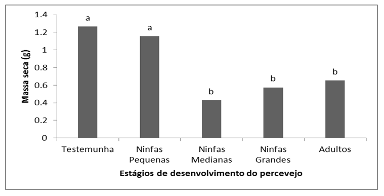 Figura 2 - Médias de massa seca da parte aérea do milho ao final do período de infestação das plantas com diferentes estágios de desenvolvimento do percevejo barriga-veerde, em casa-de-vegetação. Dourados, MS. Colunas seguidas pela mesma letra, as médias são diferem entre si pelo teste de Tukey (p&lt;0,05).