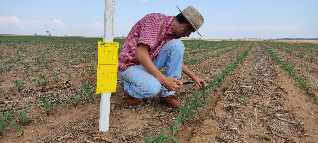 Projeto realizado pela Bayer em parceria com agricultores, pesquisadores e canais, iniciado e testado em lavouras do Paraná, Santa Catarina e do Rio Grande do Sul, agora será ampliado para fazendas graças à tecnologia da agtech Sima. - Foto: Divulgação