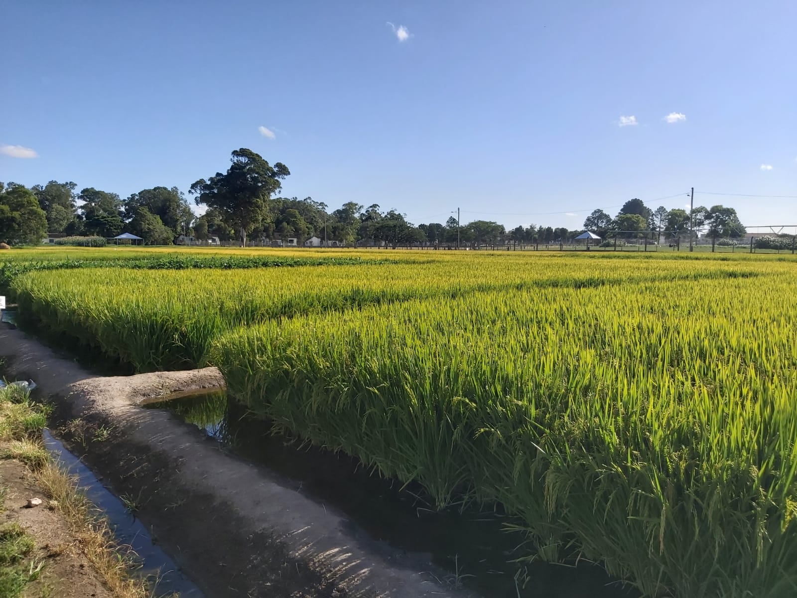 A 32ª edição tem como tema central a A Produção de Alimentos no Pós-Pandemia - Novos Patamares, Novos Desafios. - Foto:&nbsp;Cristiane Betemps