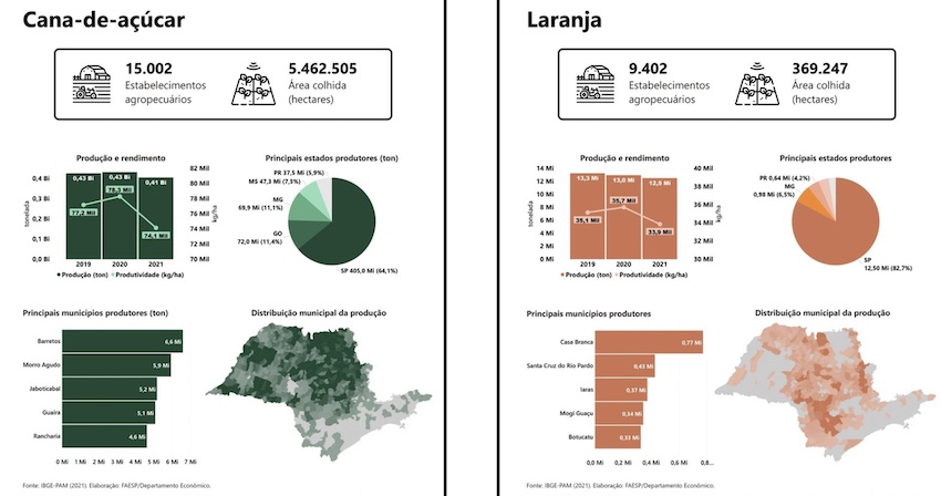 FAESP lança Radiografia da Agropecuária Paulista - Revista Cultivar