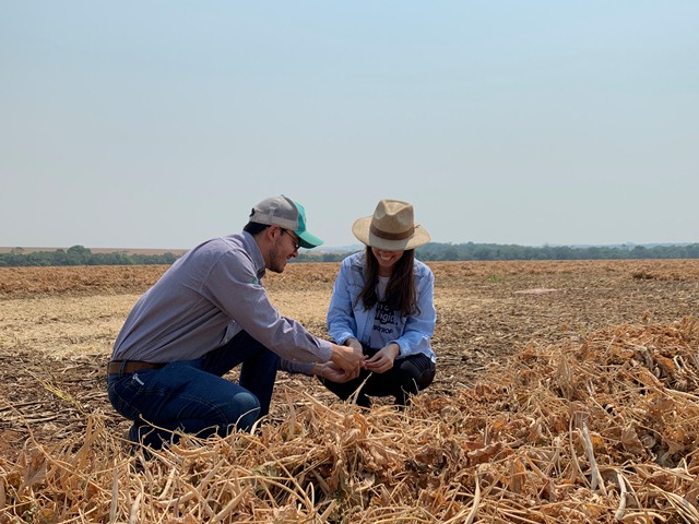 Presença dos profissionais junto aos produtores e suas equipes é fundamental para difundir as tecnologias, compreender as demandas e aferir os resultados dos tratamentos. - Foto: Divulgação