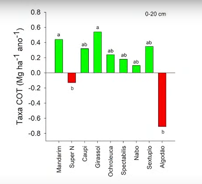 Gráfico 1