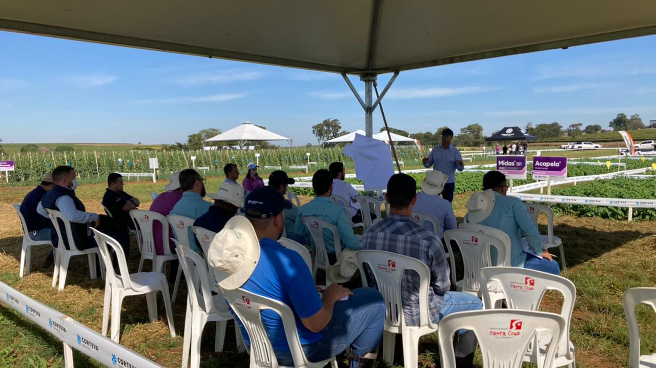 Anúncio da Corteva coloca em xeque futuro do clorpirifós :: Repórter Agro