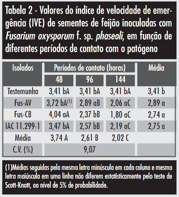 Tabela 2