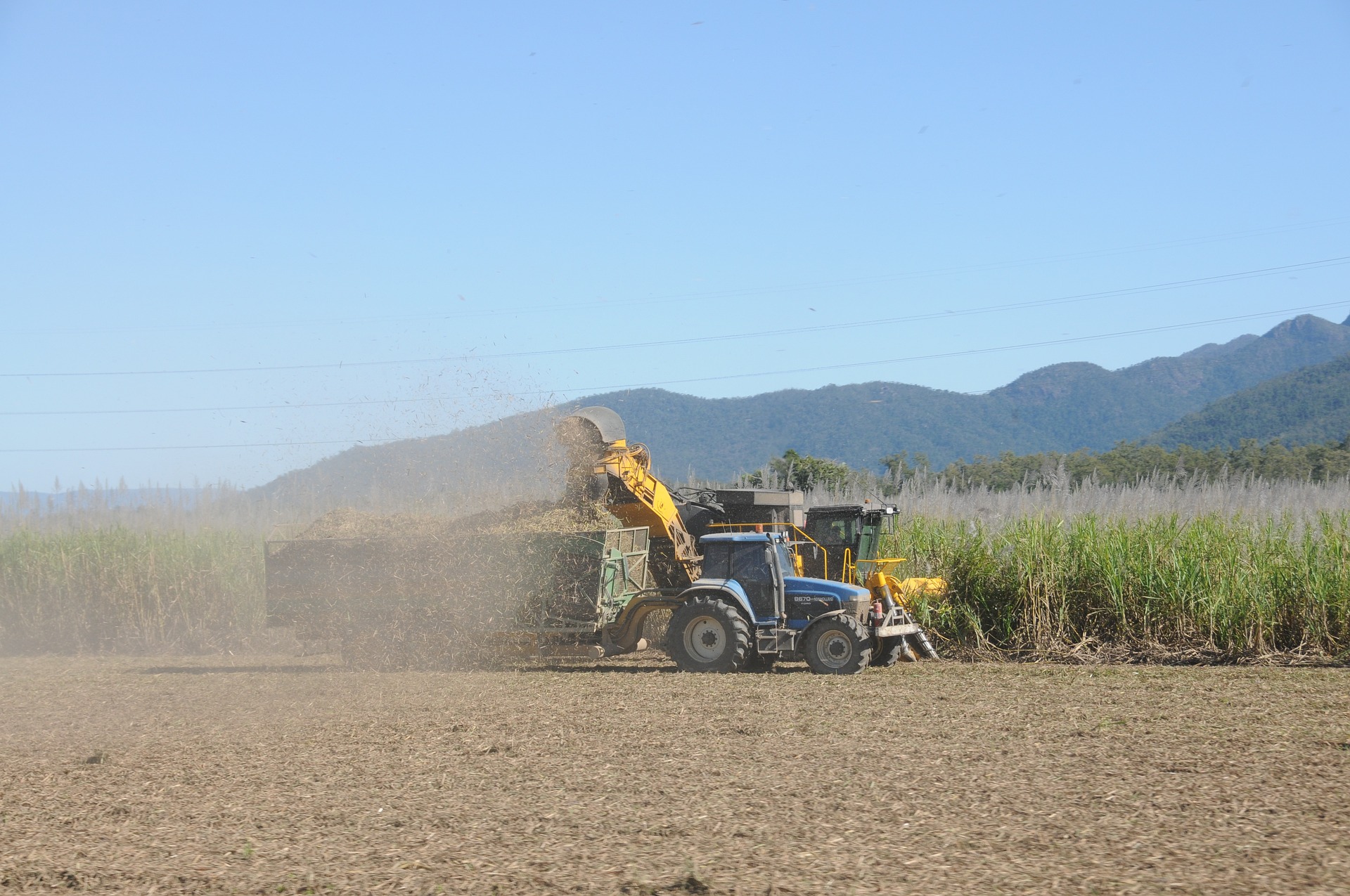 Consultoria ajuda produtores e agroindústrias a potencializar o uso das tecnologias de gestão junto aos clientes