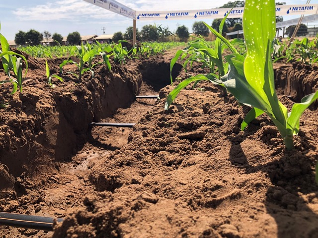 Empresa disponibilizará uma equipe especializada no evento para apresentar possibilidades de instalação de sistemas de gotejamento em área total das fazendas ou em harmonização com outros sistemas de irrigação. - Foto: Divulgação