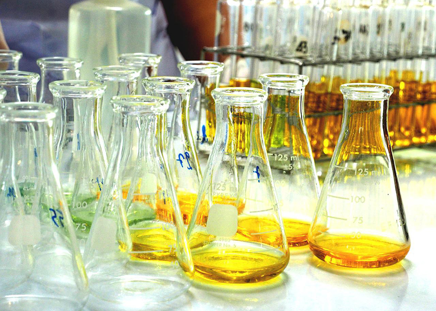 Cientistas utilizaram microrganismos para fabricar, de maneira sustentável, insumos de alto valor para a indústria. - Foto: Divulgação Embrapa