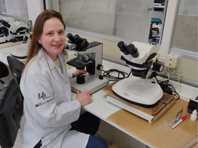 A pesquisadora da Epagri, Maria Cristina Canale, integra o Programa Monitora Milho SC