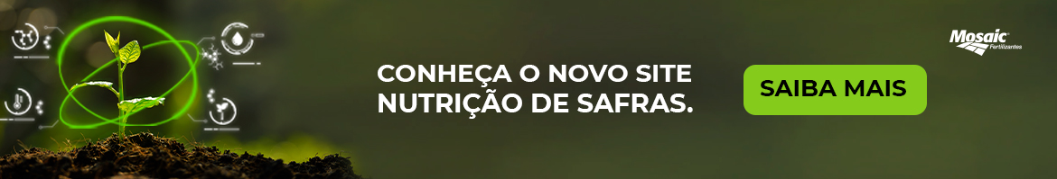 https://nutricaodesafras.com.br/?utm_source=grupo_cultivar&amp;utm_medium=banner&amp;utm_campaign=fixo&amp;utm_term=novo_site