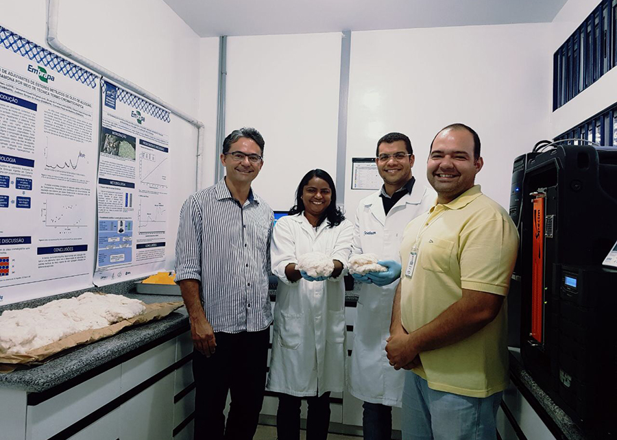 Pesquisador Everaldo Medeiros (primeiro à esquerda) e Equipe da Embrapa - Foto: Sérgio Cobel