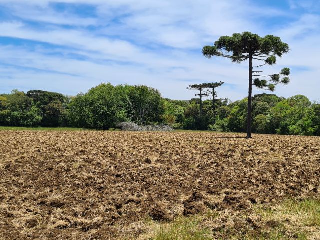 Área de sobrevoo e coleta de amostras de solo na fazenda da Estação Experimental da Epagri de Lages; Foto: Divulgação&nbsp;