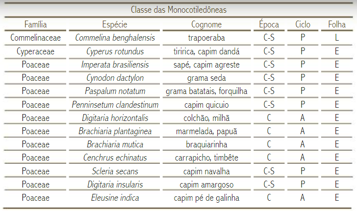 Classe das Monocotiledôneas