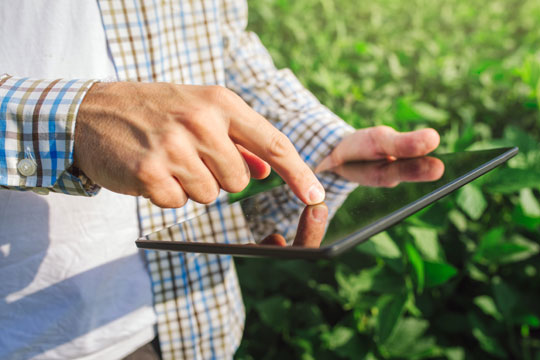 São 17 variáveis relacionadas com a previsão do tempo para todo o território nacional, que podem ser customizadas e integradas a softwares e aplicativos móveis utilizados para apoiar a gestão da propriedade, do plantio à colheita. - Foto: Divulgação Embrapa