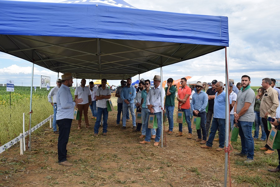 Pesquisador André Ferreira apresentou as características das três cultivares de soja da Embrapa; Foto: Breno Lobato