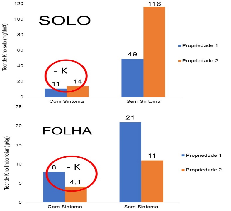 Figura 1 - Resultados dos teores de K no solo e folha