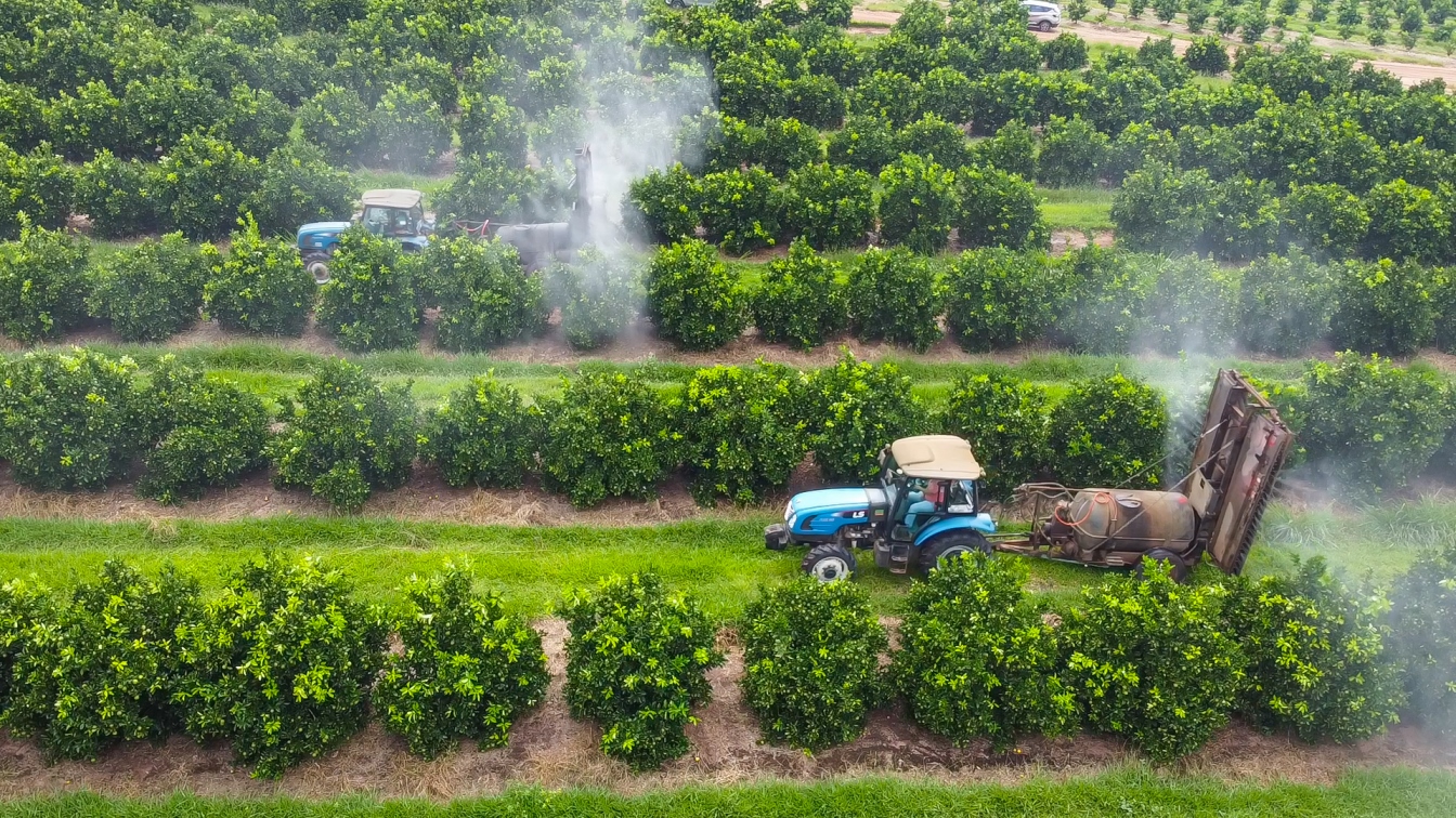 Quinze tratores da LS compõem a frota que trabalha nos três mil hectares de produção de laranja