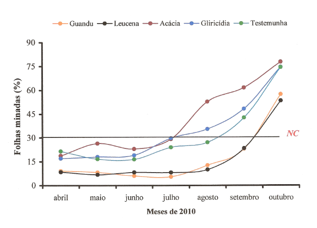 Figura 1 - Evolução da infestação de bicho-mineiro, expressa em porcentagem de folhas minadas nos cafeeiros sob influência das diferentes espécies de leguminosas utilizadas como quebra-ventos em 2009, após uma poda em 2008. Obs.: NC = Nível de controle (30 % de folhas minadas).