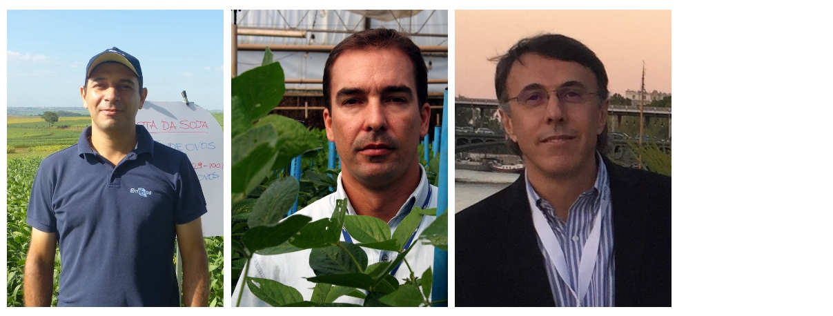 Os trabalhos são coordenados pelos pesquisadores Samuel Roggia, Rafael Soares e Fernando Adegas