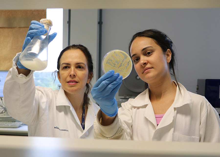 A pesquisadora Mônica Damaso (à esquerda) e a bolsista Ana Clara Braga Rodrigues observam células microbianas durante o crescimento e a produção de ácido orgânico; Foto: Irene Santana