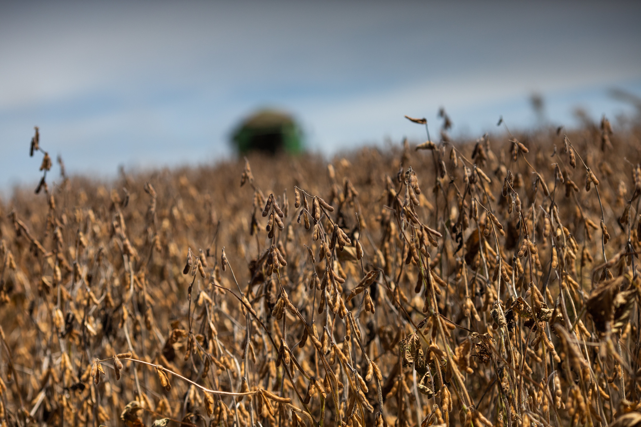 PIB da cadeia produtiva da soja e do biodiesel foi de R$ 673,7 bilhões em 2022; Foto: Wenderson Araujo/CNA