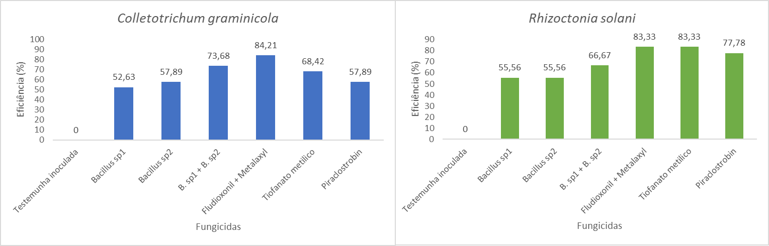 &nbsp;Figura 1- Eficiência de fungicidas via tratamento de sementes em Milho. Itaara, 2017