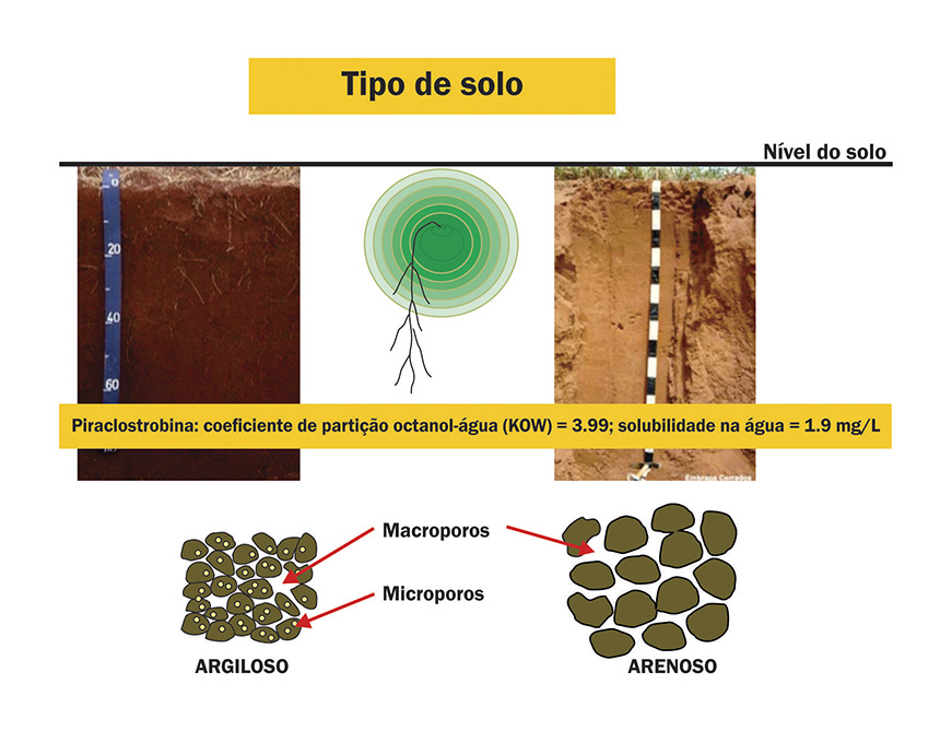 Tipos de solo e a disponibilidade hídrica após a semeadura