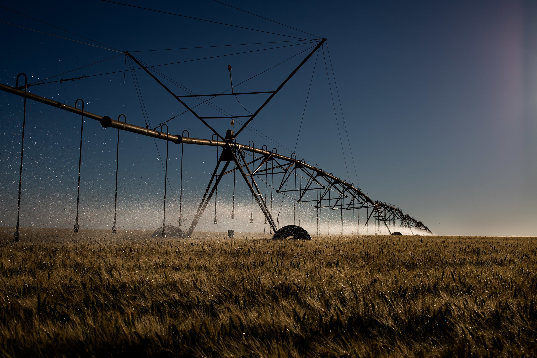 Os cinco estados no Brasil que apresentaram as maiores expansões de área de pivô central de irrigação, entre 1985 e 2021, foram Maranhão, Goiás, Distrito Federal, Bahia e Mato Grosso; Foto: CNA