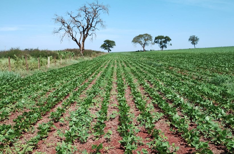 Projeto, em parceria com o Ministério da Agricultura, beneficia mais de 50 mil produtores de 500 municípios do Estado