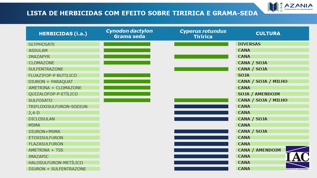 Tabela 1