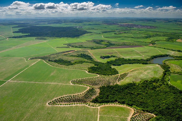 Objetivo do RegularizAgro é desenvolver um plano de ação governamental entre a União e os estados para avançar na agenda da regularização ambiental em todos os biomas brasileiros. - Foto: Divulgação Mapa